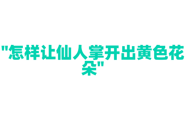 "怎样让仙人掌开出黄色花朵"
